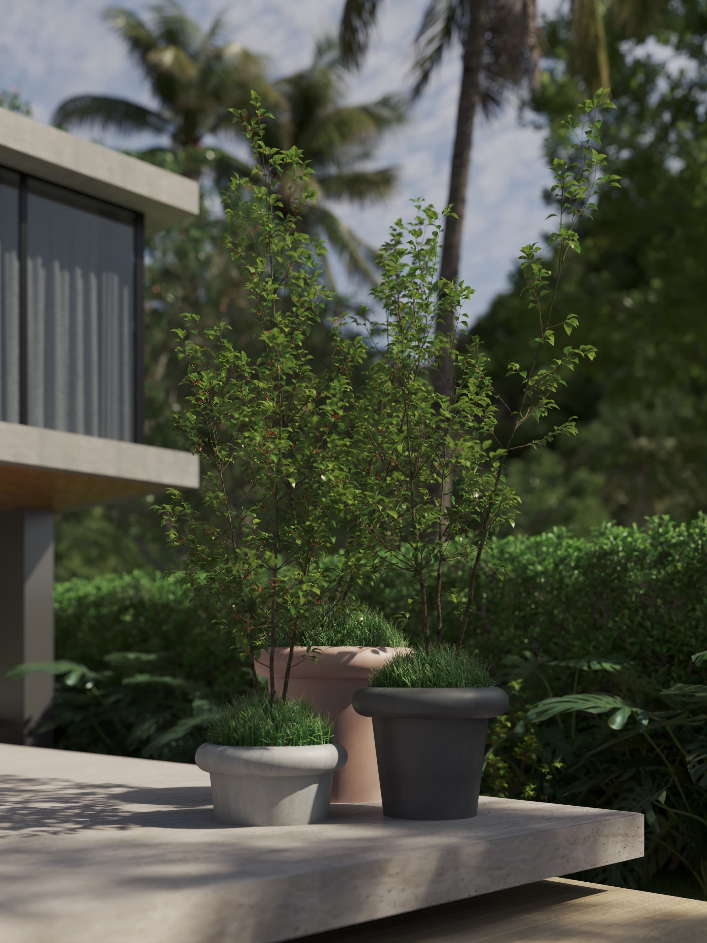 Sorato collection piece